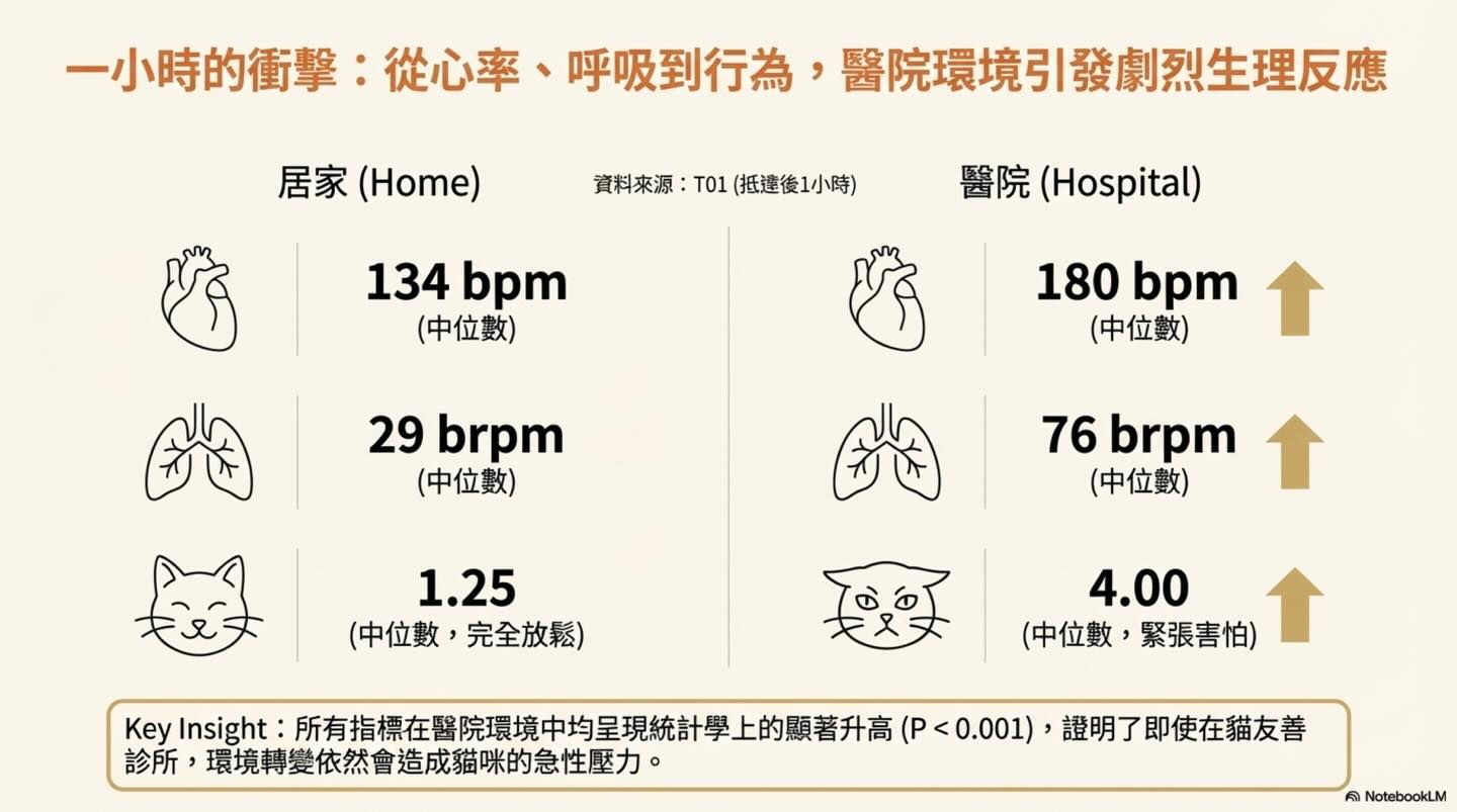 貓咪的無聲吶喊：壓力如何影響臨床數據與診斷圖卡 5