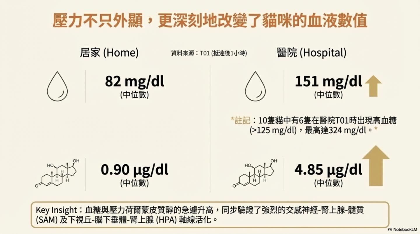 貓咪的無聲吶喊：壓力如何影響臨床數據與診斷圖卡 6