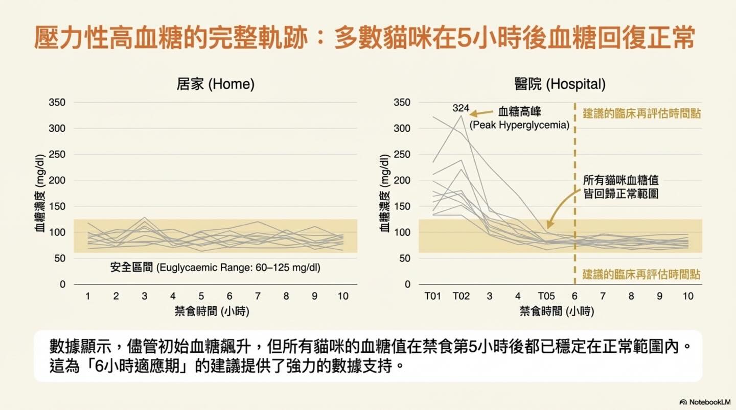 貓咪的無聲吶喊：壓力如何影響臨床數據與診斷圖卡 7