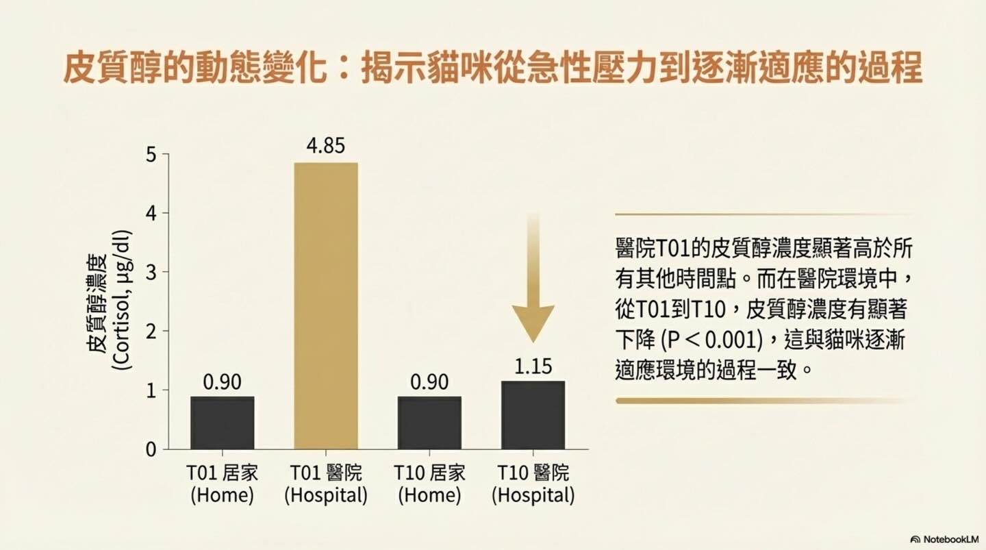 貓咪的無聲吶喊：壓力如何影響臨床數據與診斷圖卡 9