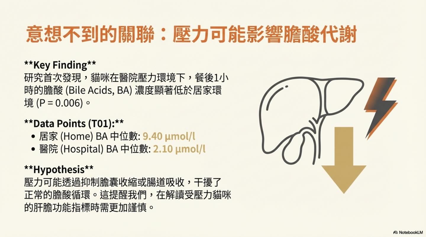 貓咪的無聲吶喊：壓力如何影響臨床數據與診斷圖卡 10