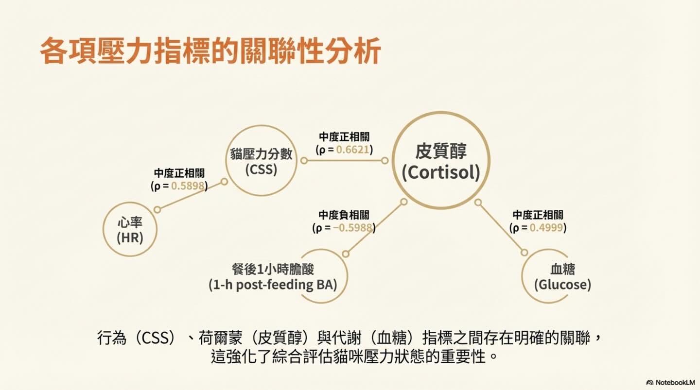 貓咪的無聲吶喊：壓力如何影響臨床數據與診斷圖卡 11