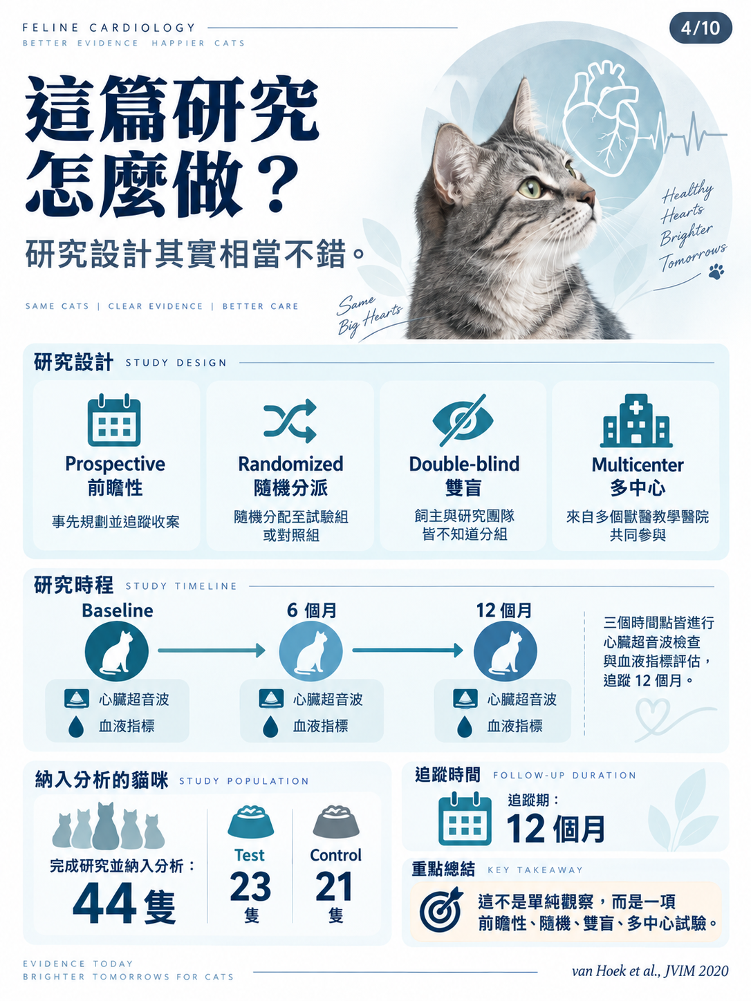 貓咪 subclinical HCM 營養介入研究圖卡第 4 張：前瞻性、隨機、雙盲、多中心研究設計。