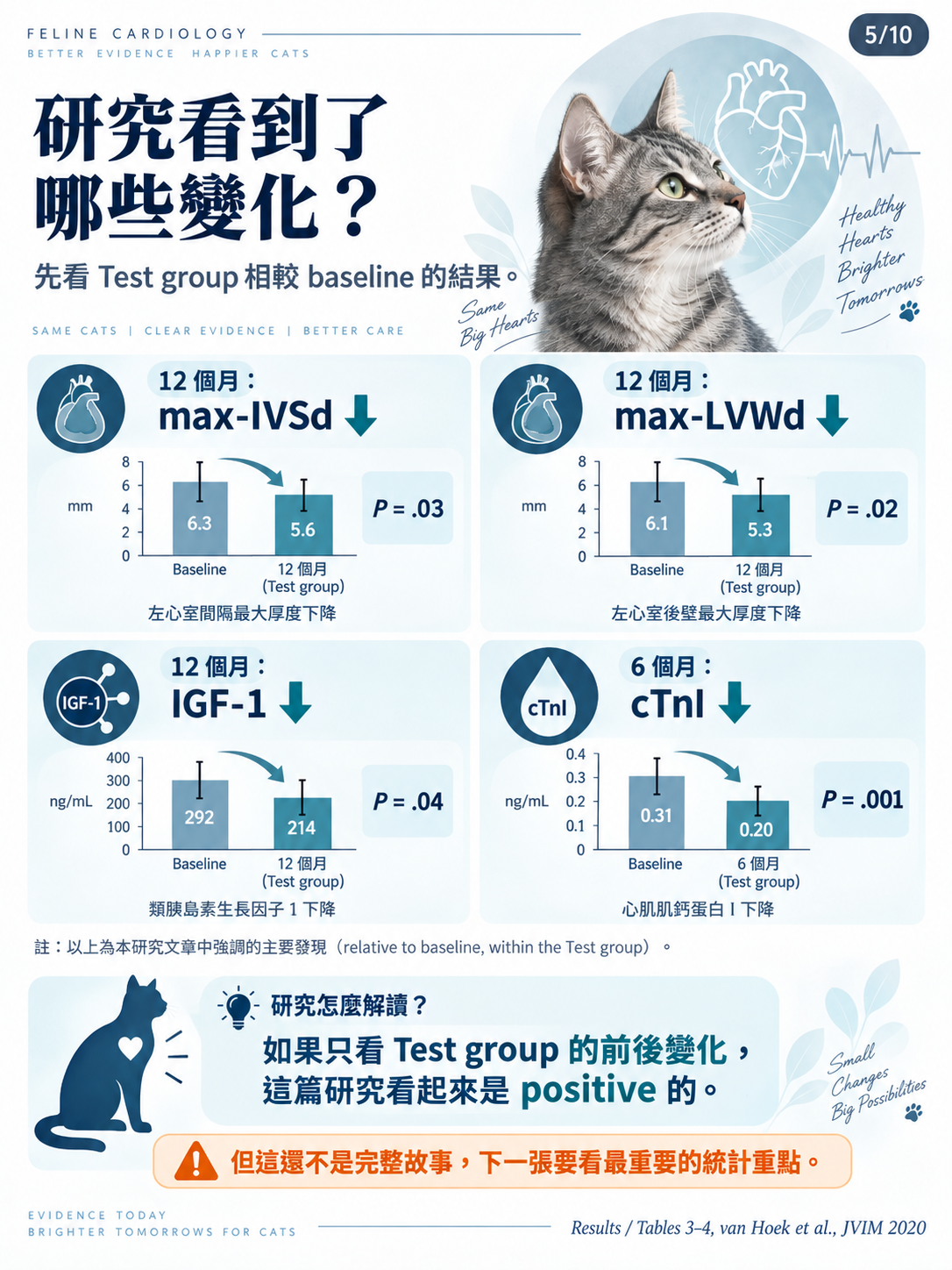 貓咪 subclinical HCM 營養介入研究圖卡第 5 張：Test group 相較基線的主要變化。