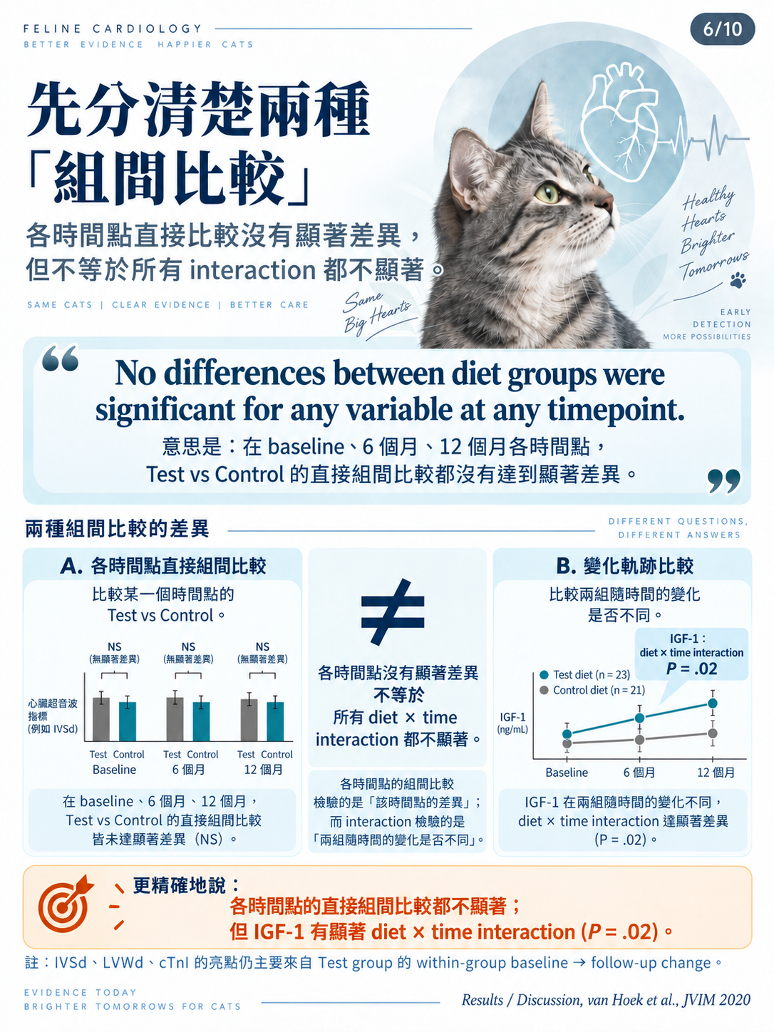 貓咪 subclinical HCM 營養介入研究圖卡第 6 張：各時間點直接組間比較與 diet × time interaction 是不同問題。