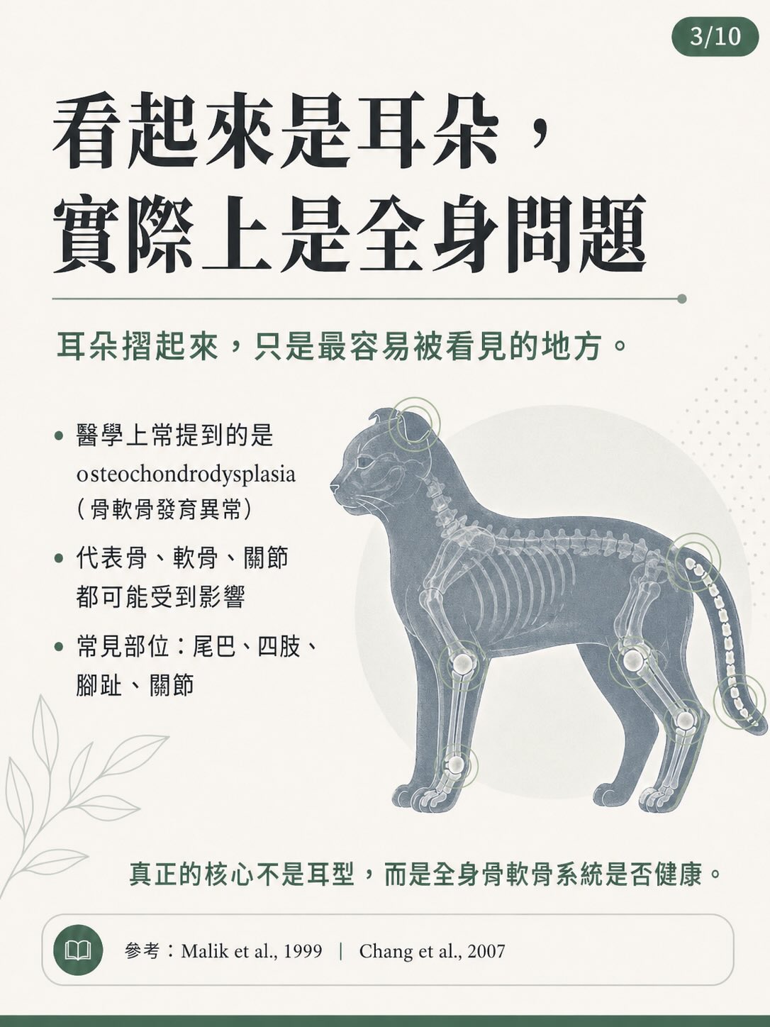 摺耳，不只是外觀圖卡 3