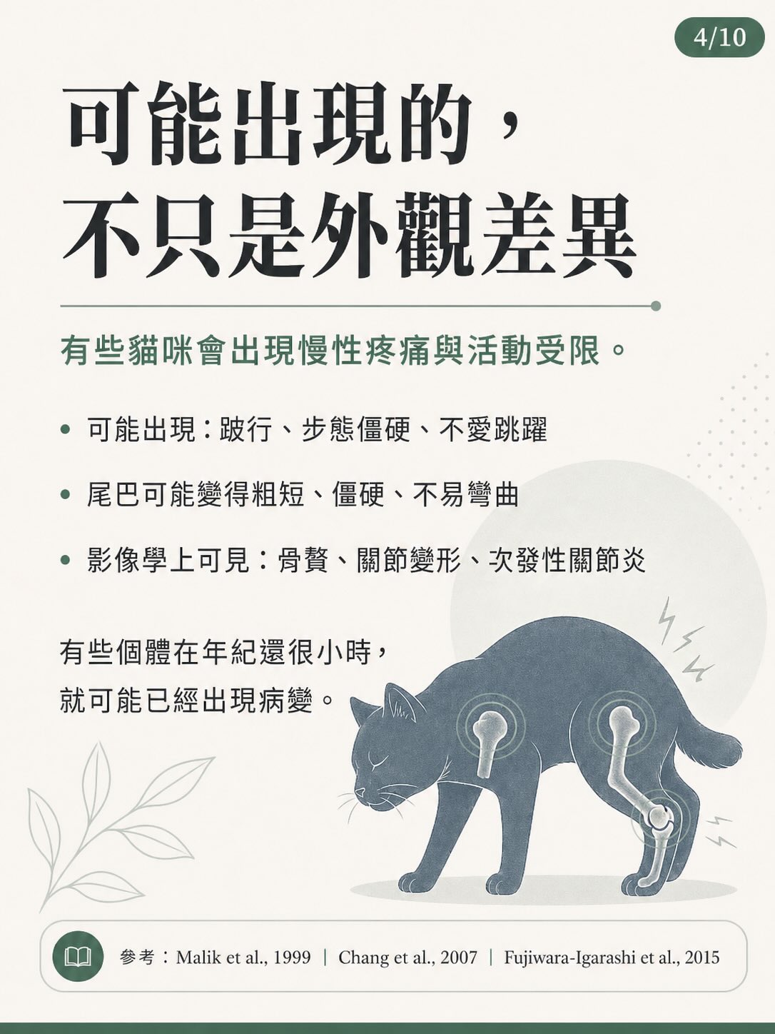 摺耳，不只是外觀圖卡 4