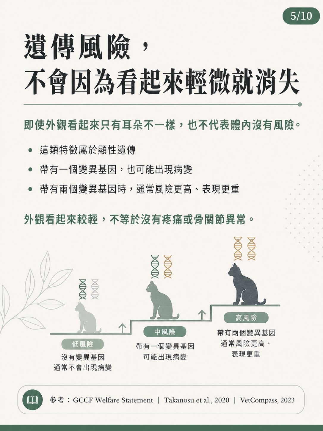 摺耳，不只是外觀圖卡 5