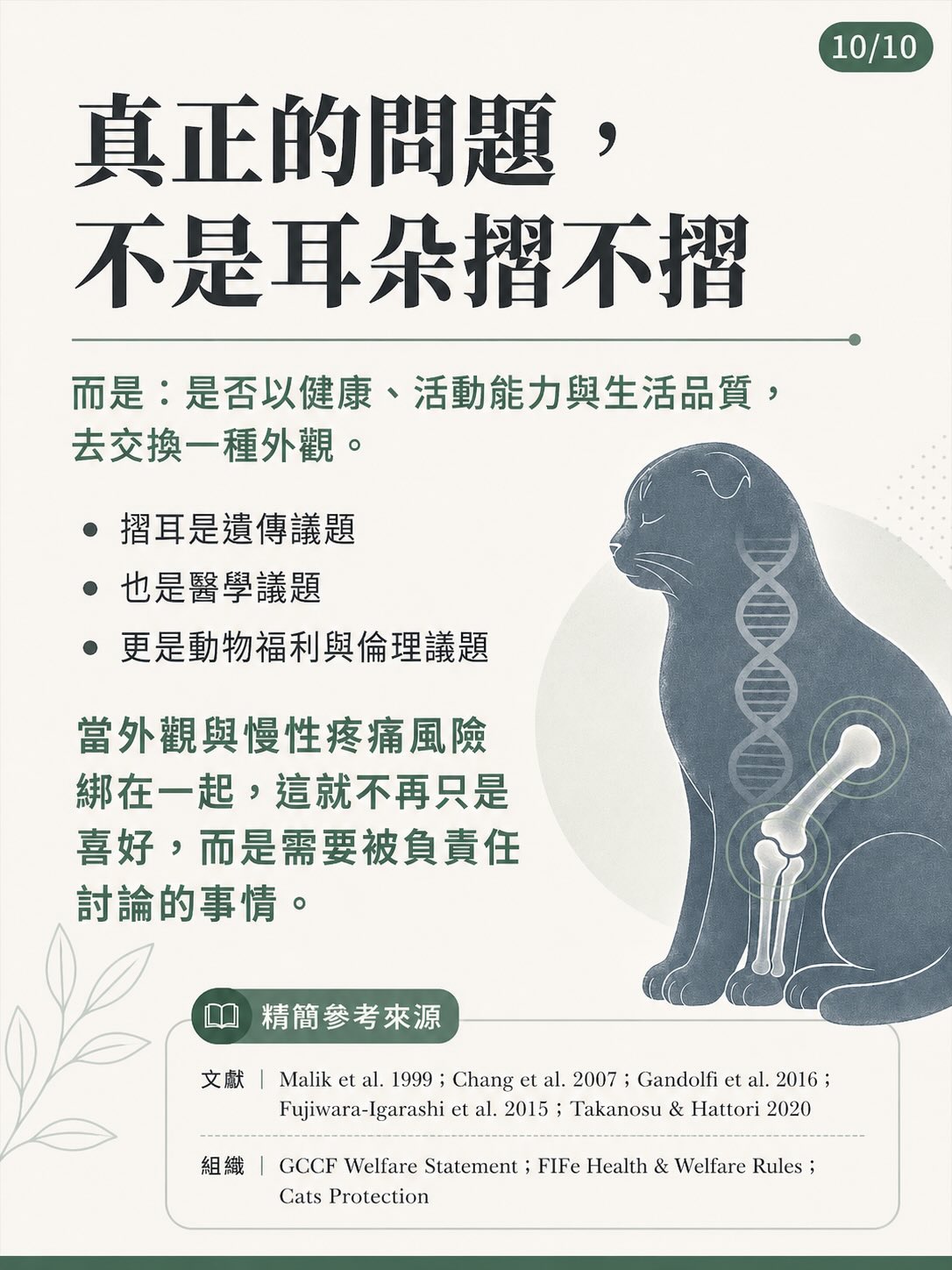 摺耳，不只是外觀圖卡 10