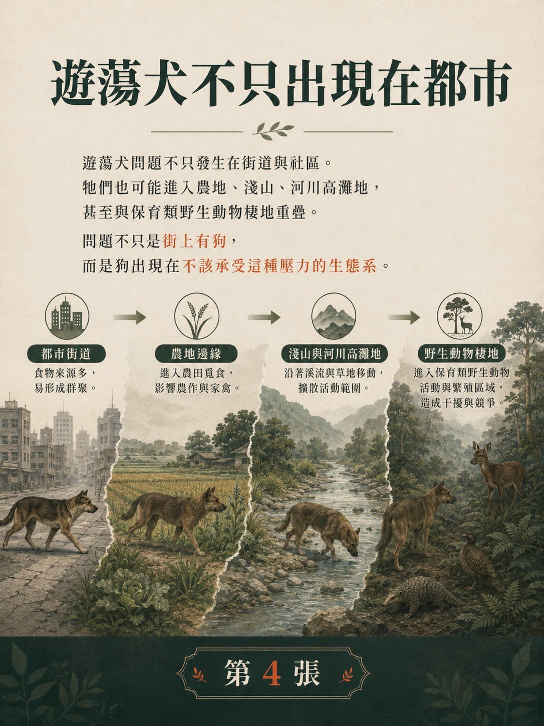 遊蕩犬貓與野生動物衝突：台灣數字告訴我們什麼？圖卡 4