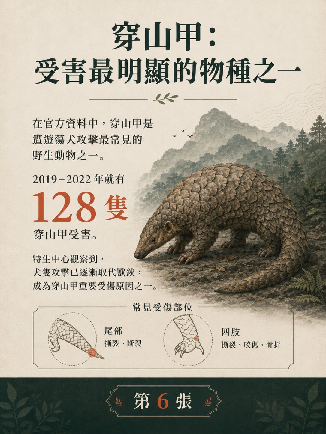 遊蕩犬貓與野生動物衝突：台灣數字告訴我們什麼？圖卡 6