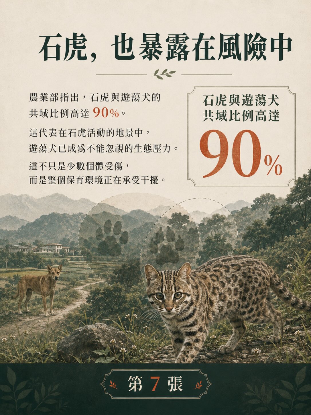 遊蕩犬貓與野生動物衝突：台灣數字告訴我們什麼？圖卡 7