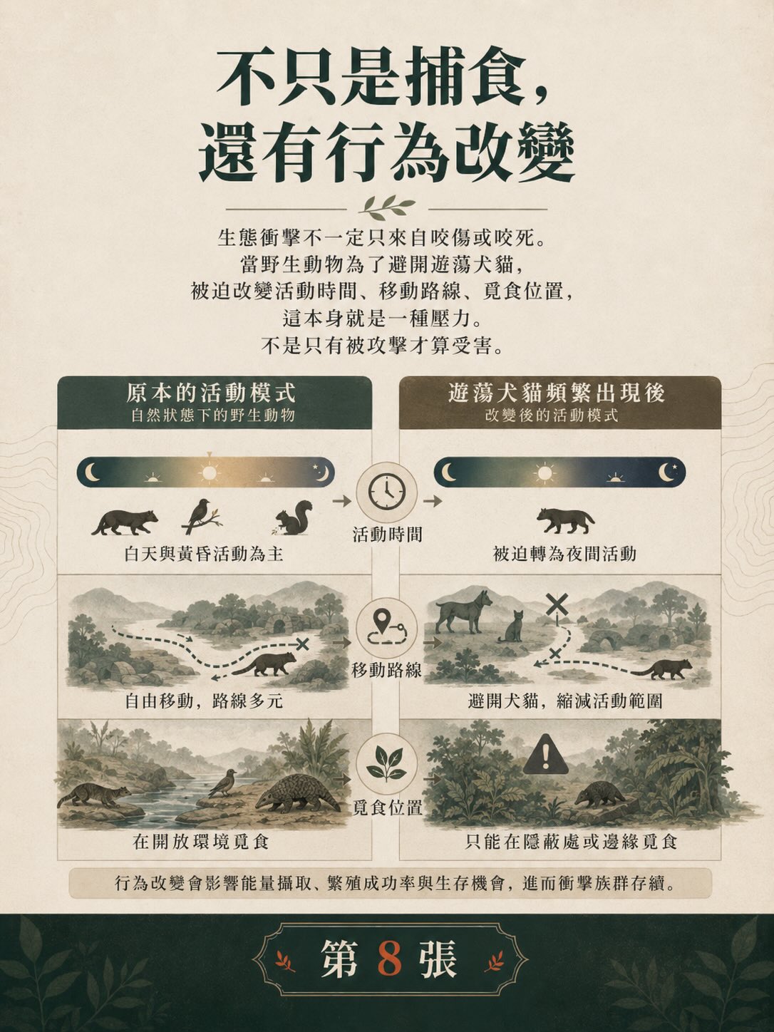 遊蕩犬貓與野生動物衝突：台灣數字告訴我們什麼？圖卡 8