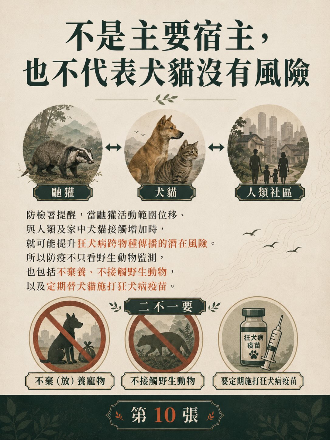 遊蕩犬貓與野生動物衝突：台灣數字告訴我們什麼？圖卡 10