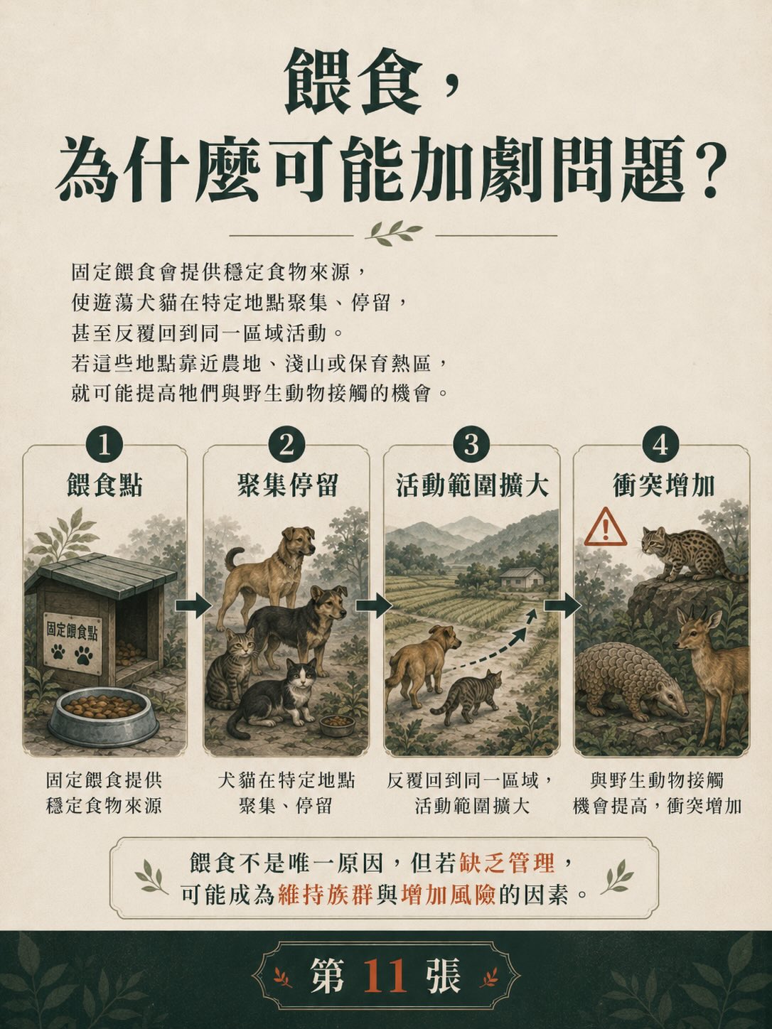 遊蕩犬貓與野生動物衝突：台灣數字告訴我們什麼？圖卡 11