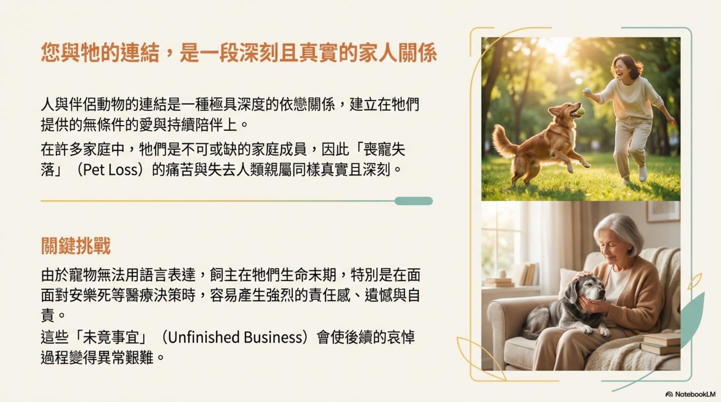 為摯愛的牠，預約一場溫柔的道別圖卡 2