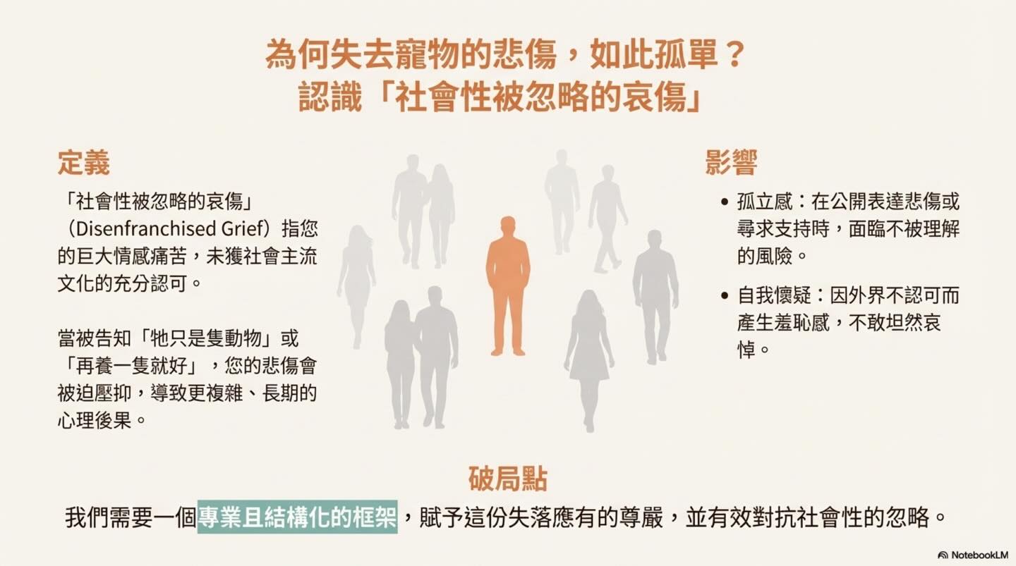 為摯愛的牠，預約一場溫柔的道別圖卡 3