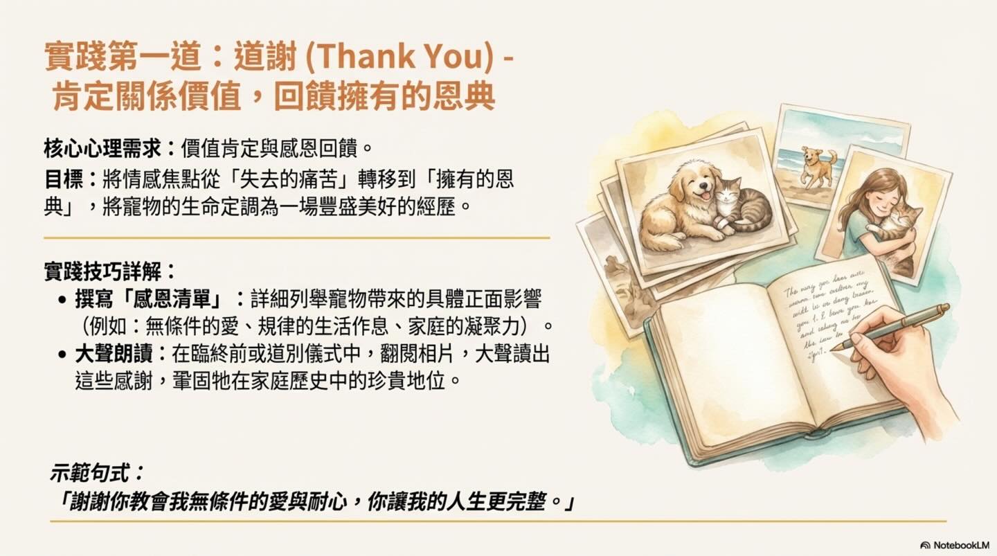 為摯愛的牠，預約一場溫柔的道別圖卡 7