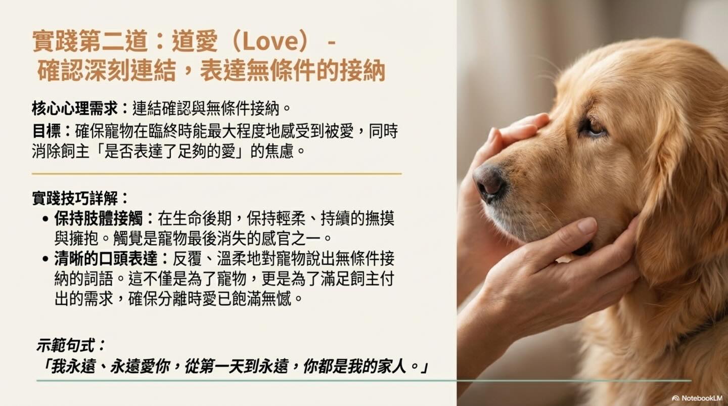 為摯愛的牠，預約一場溫柔的道別圖卡 8
