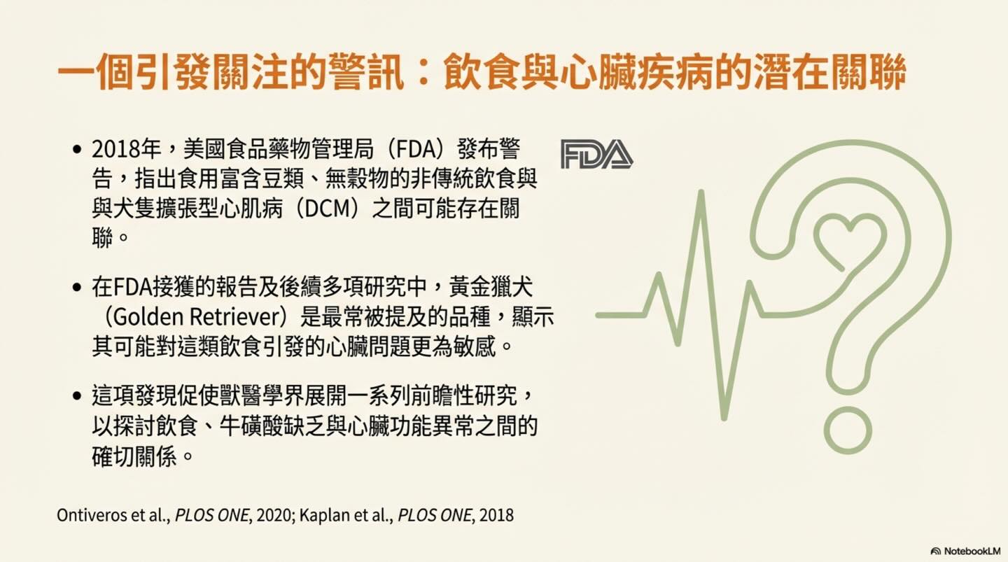 黃金獵犬的心臟健康：非傳統飲食的潛在風險圖卡 2