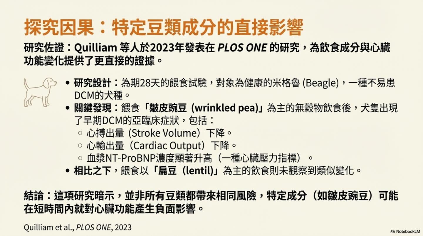黃金獵犬的心臟健康：非傳統飲食的潛在風險圖卡 7