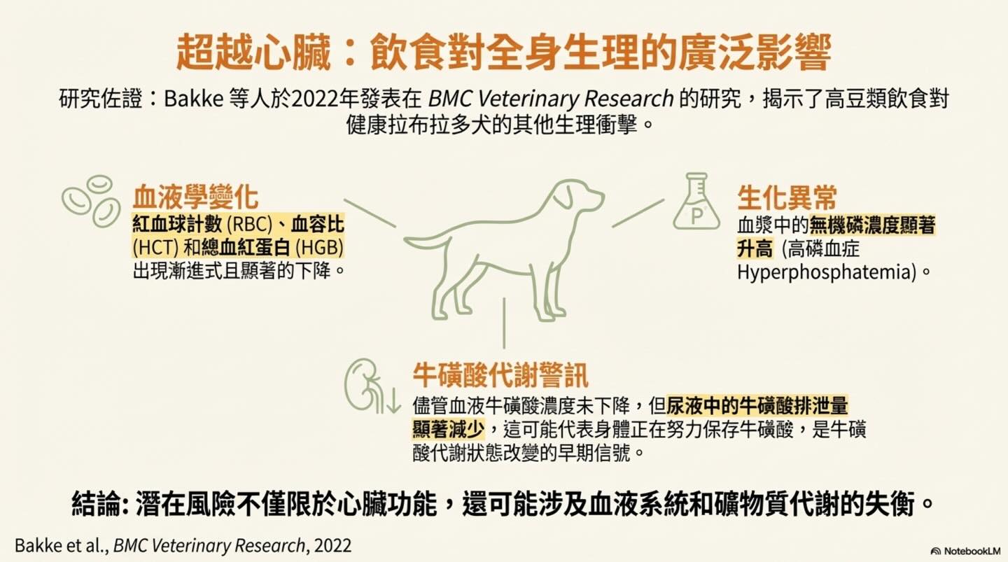 黃金獵犬的心臟健康：非傳統飲食的潛在風險圖卡 8