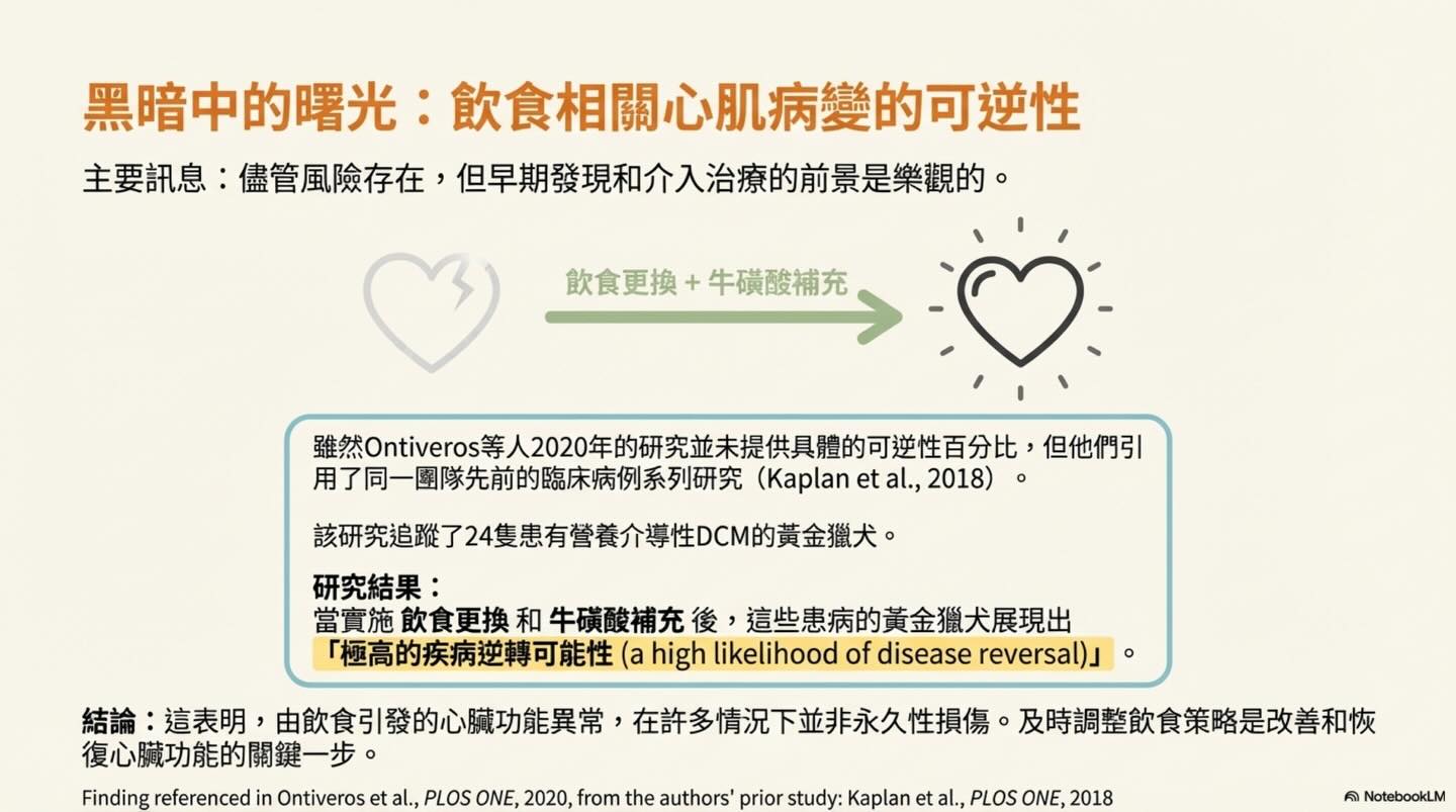 黃金獵犬的心臟健康：非傳統飲食的潛在風險圖卡 11