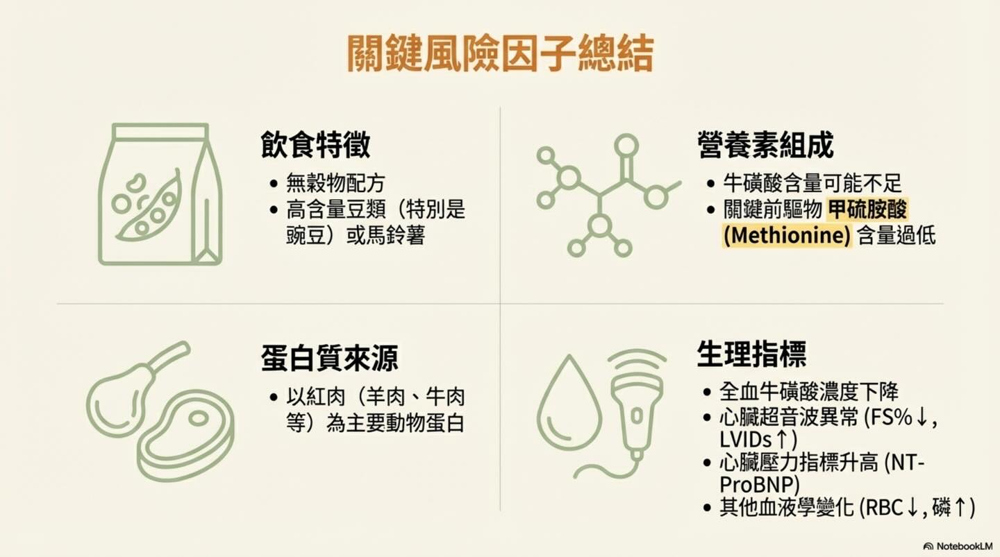 黃金獵犬的心臟健康：非傳統飲食的潛在風險圖卡 12