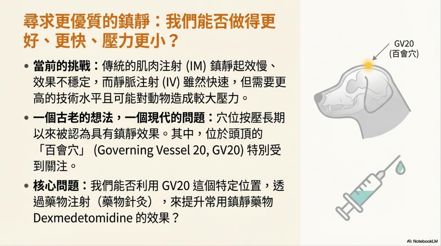 頭頂的鎮靜革命：從穴位到生理學的 GV20 注射技術演進圖卡 2