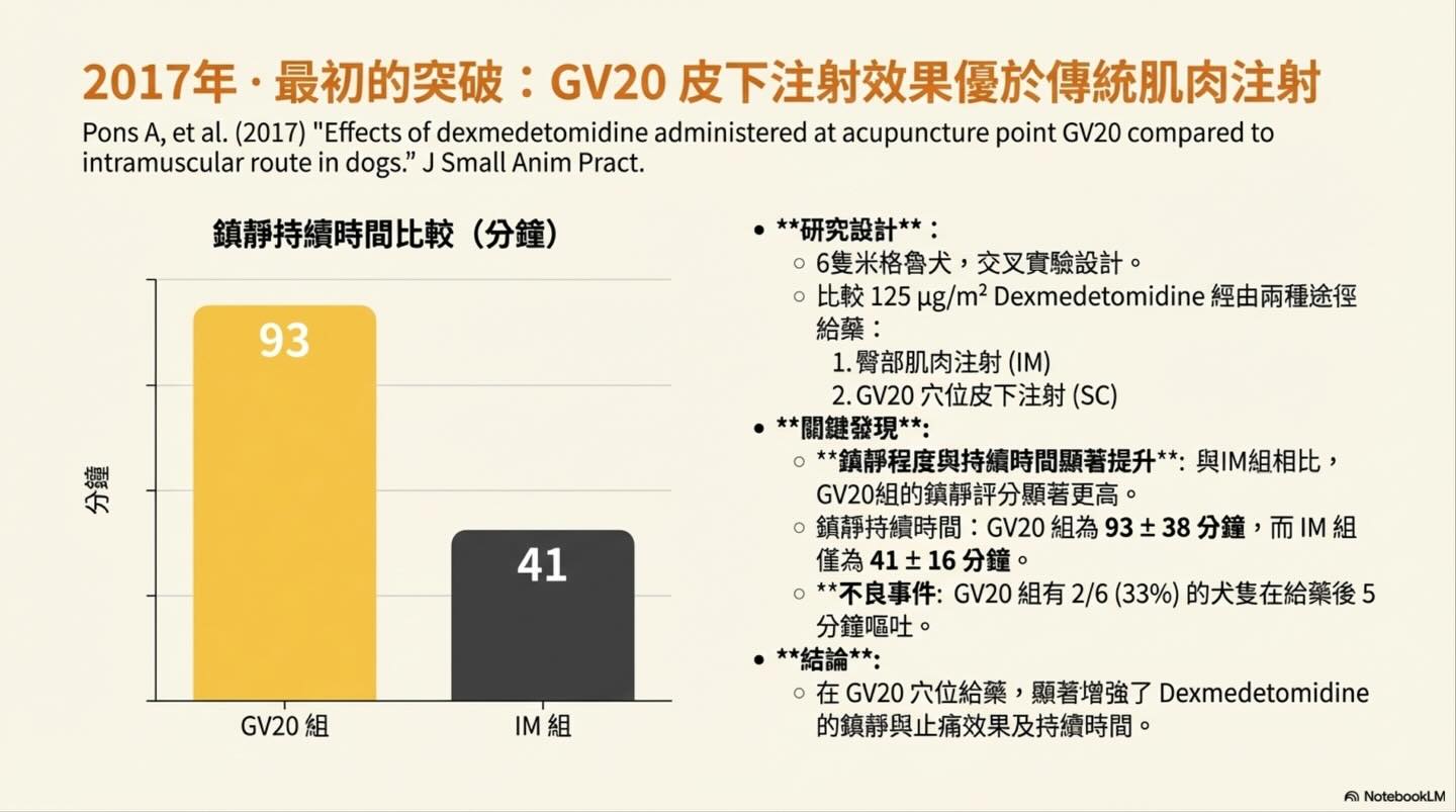頭頂的鎮靜革命：從穴位到生理學的 GV20 注射技術演進圖卡 3