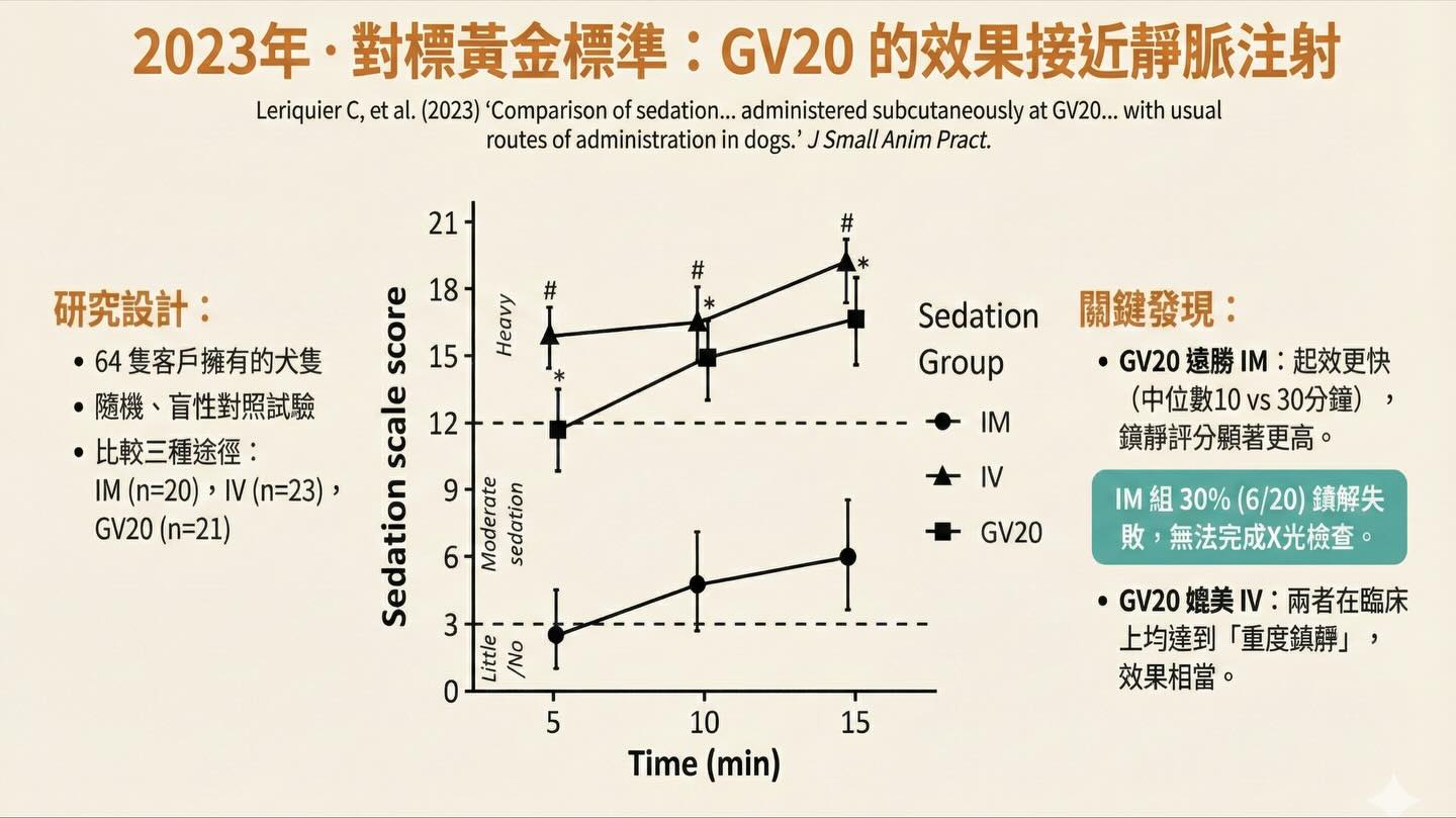 頭頂的鎮靜革命：從穴位到生理學的 GV20 注射技術演進圖卡 4