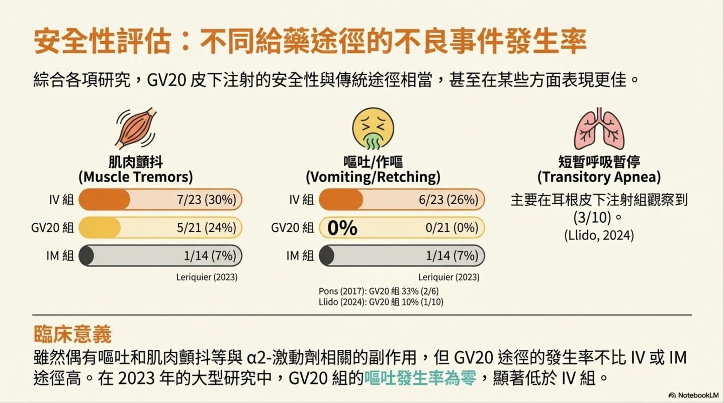 頭頂的鎮靜革命：從穴位到生理學的 GV20 注射技術演進圖卡 5