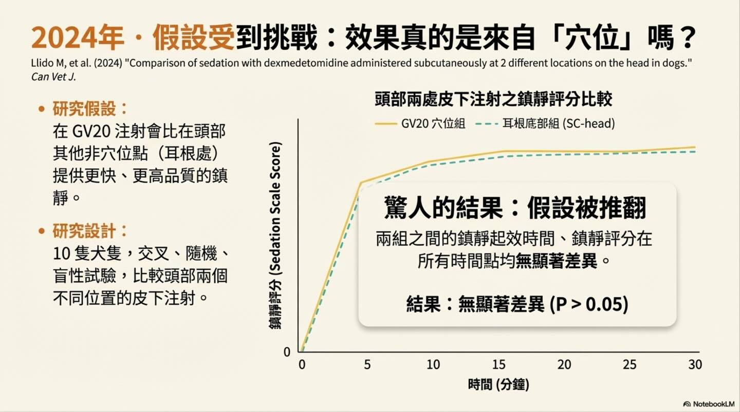 頭頂的鎮靜革命：從穴位到生理學的 GV20 注射技術演進圖卡 6