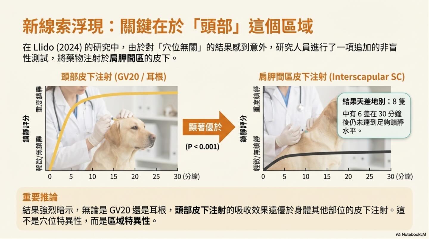 頭頂的鎮靜革命：從穴位到生理學的 GV20 注射技術演進圖卡 7