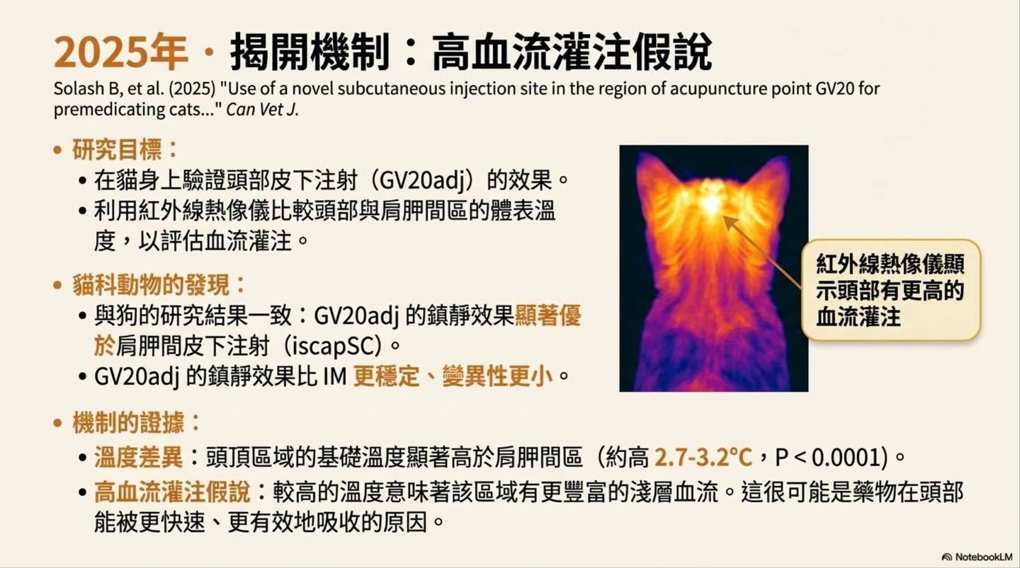 頭頂的鎮靜革命：從穴位到生理學的 GV20 注射技術演進圖卡 8