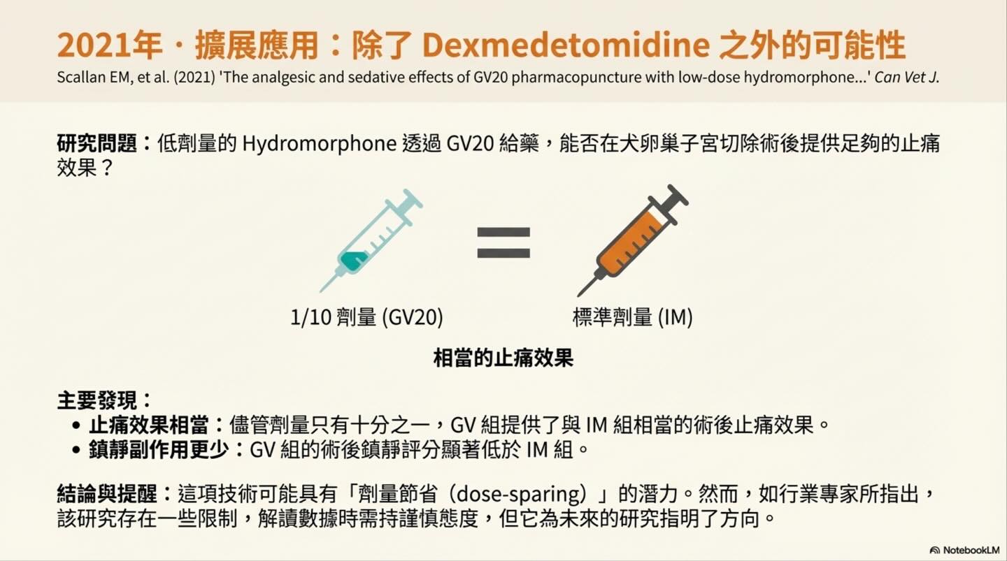 頭頂的鎮靜革命：從穴位到生理學的 GV20 注射技術演進圖卡 9