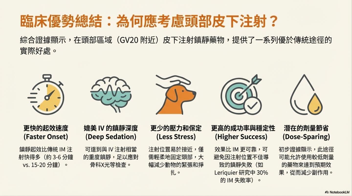頭頂的鎮靜革命：從穴位到生理學的 GV20 注射技術演進圖卡 10
