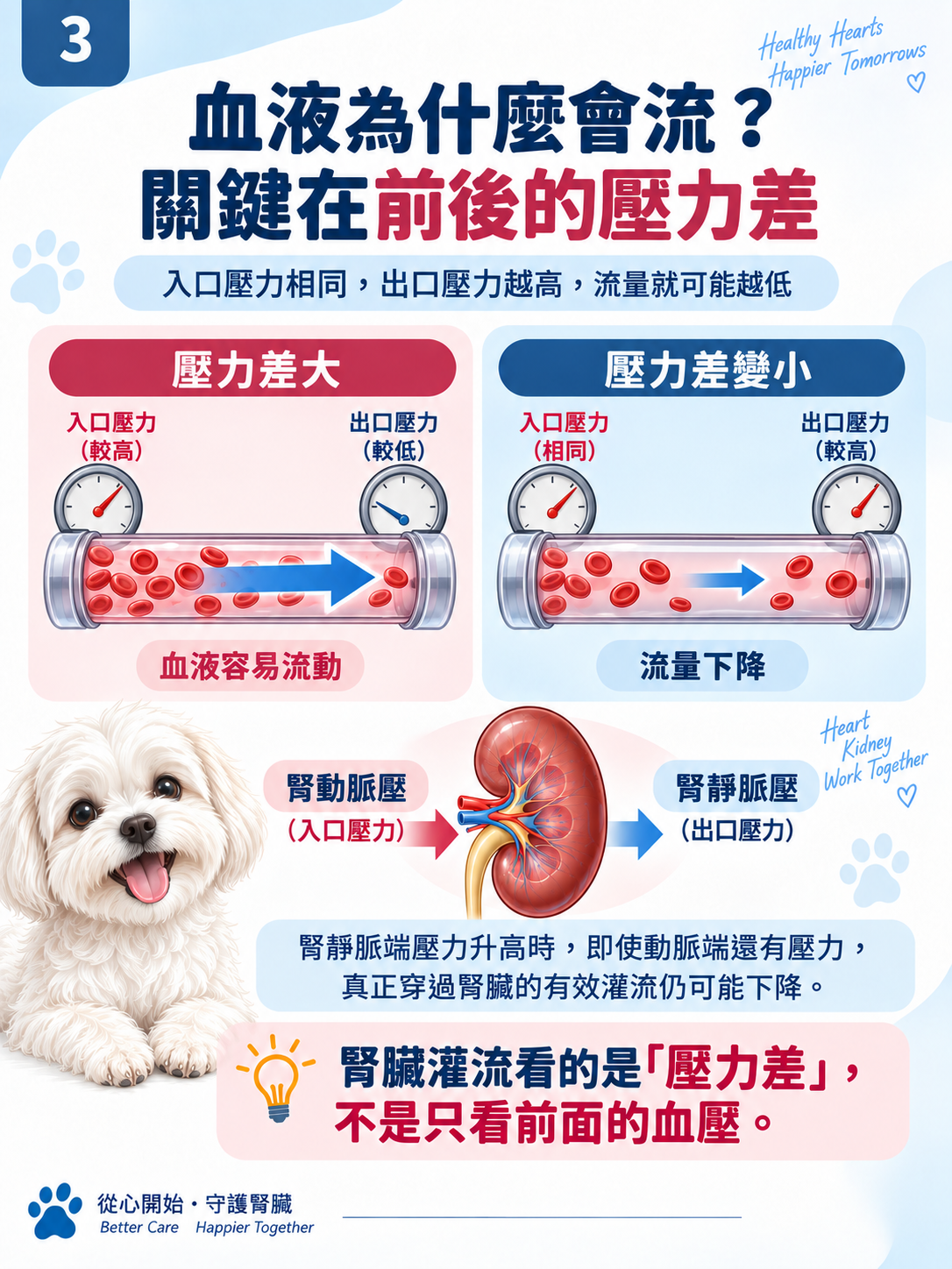 心臟 × 腎臟系列第 3 張：血液為什麼會流？關鍵在前後的壓力差。