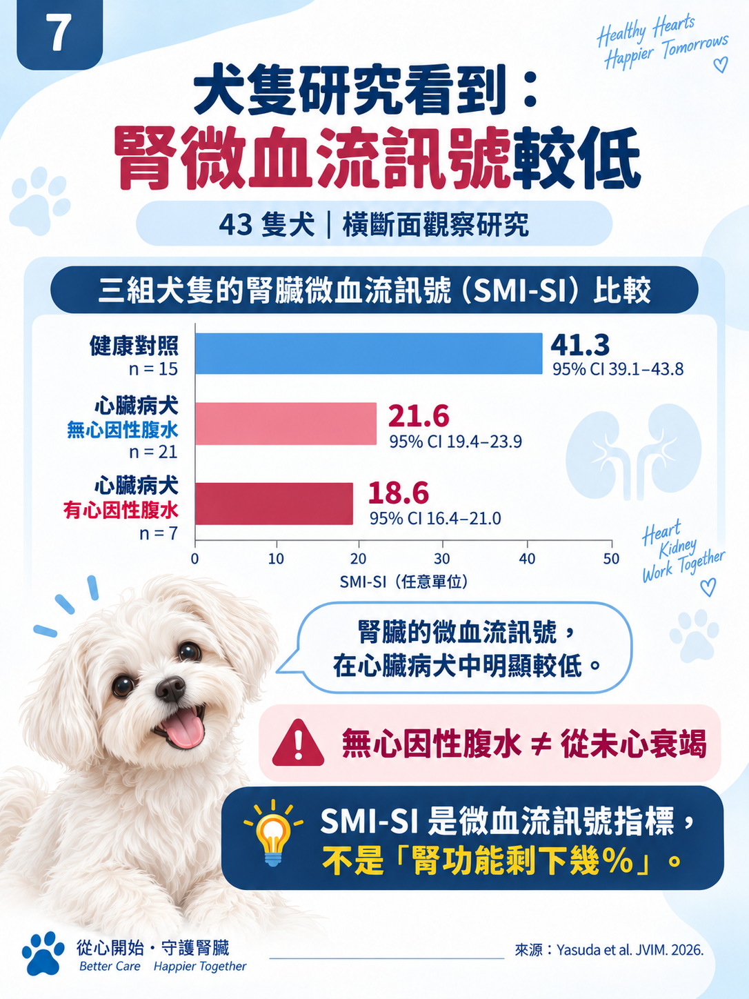 心臟 × 腎臟系列第 7 張：犬隻研究看到：腎微血流訊號較低。