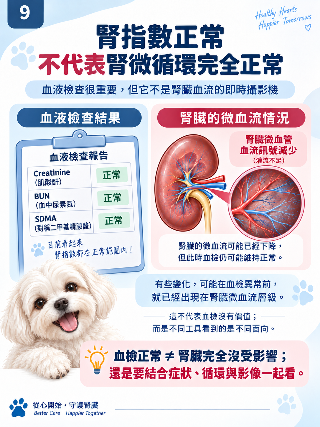 心臟 × 腎臟系列第 9 張：腎指數正常，不代表腎微循環完全正常。