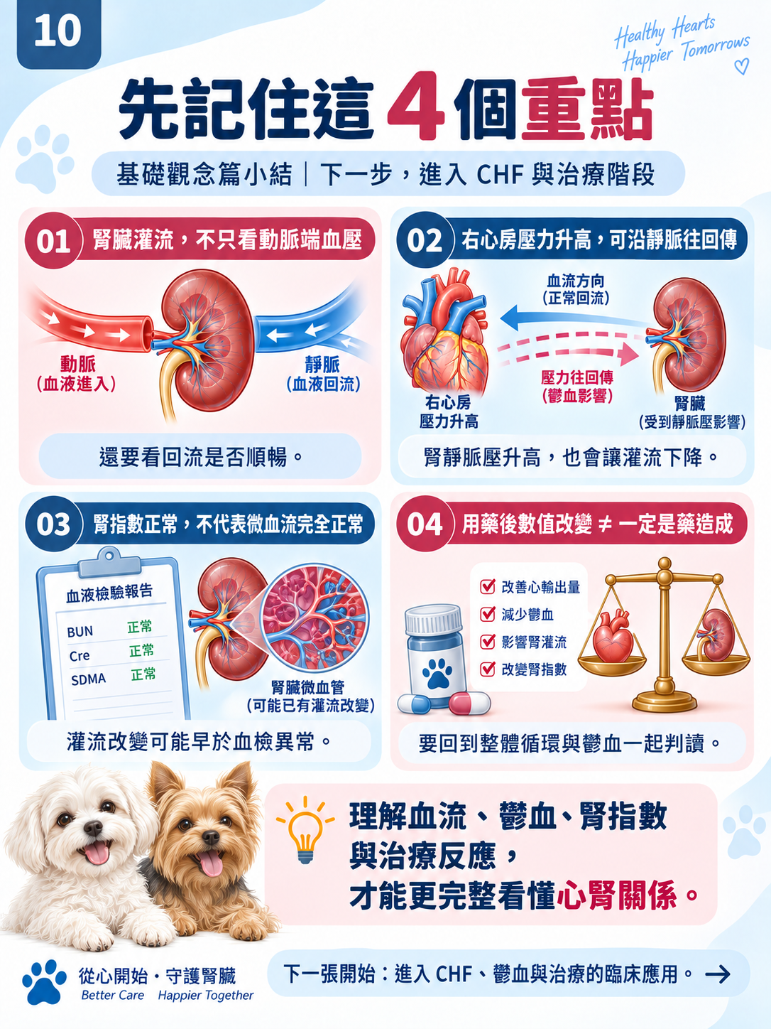 心臟 × 腎臟系列第 10 張：先記住這 4 個重點。