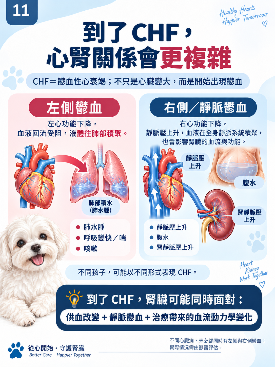 心臟 × 腎臟系列第 11 張：到了 CHF，心腎關係會更複雜。