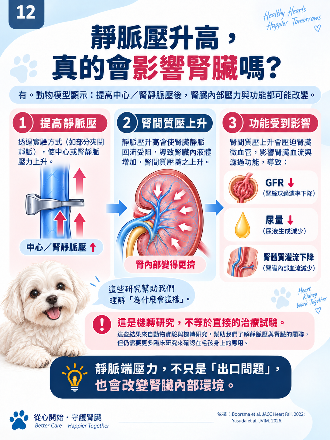 心臟 × 腎臟系列第 12 張：靜脈壓升高，真的會影響腎臟嗎？。