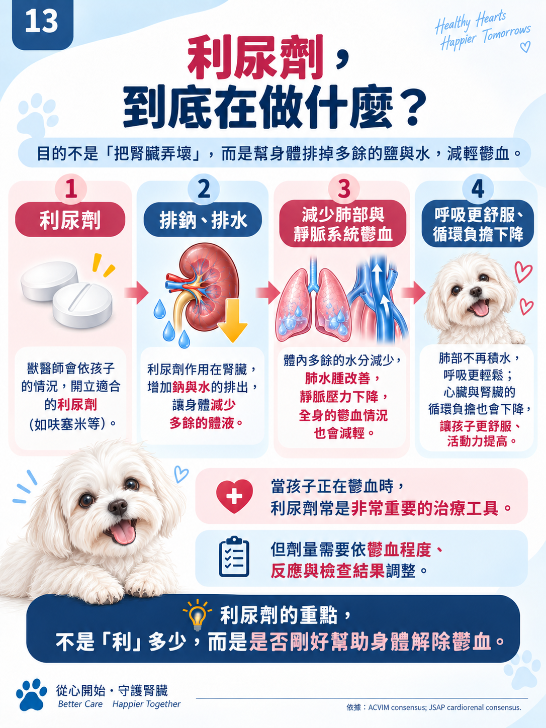心臟 × 腎臟系列第 13 張：利尿劑，到底在做什麼？。