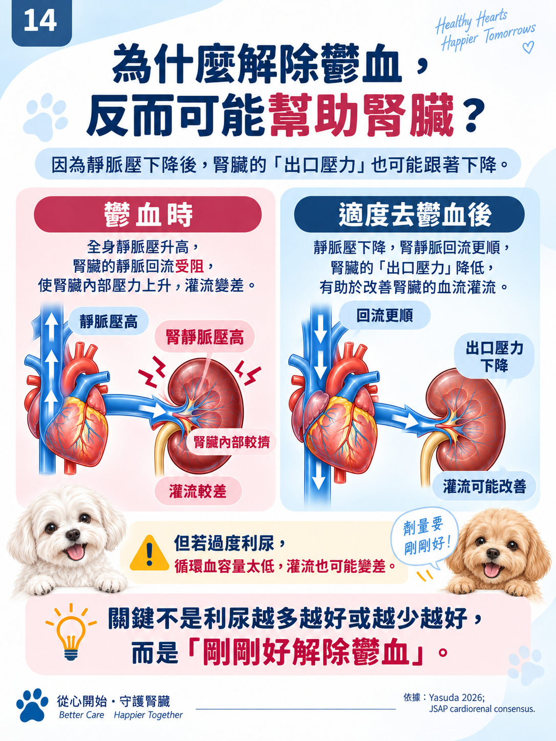 心臟 × 腎臟系列第 14 張：為什麼解除鬱血，反而可能幫助腎臟？。