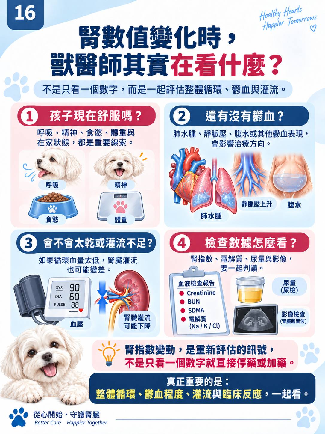 心臟 × 腎臟系列第 16 張：腎數值變化時，獸醫師其實在看什麼？。