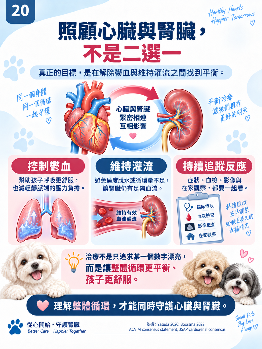 心臟 × 腎臟系列第 20 張：照顧心臟與腎臟，不是二選一。