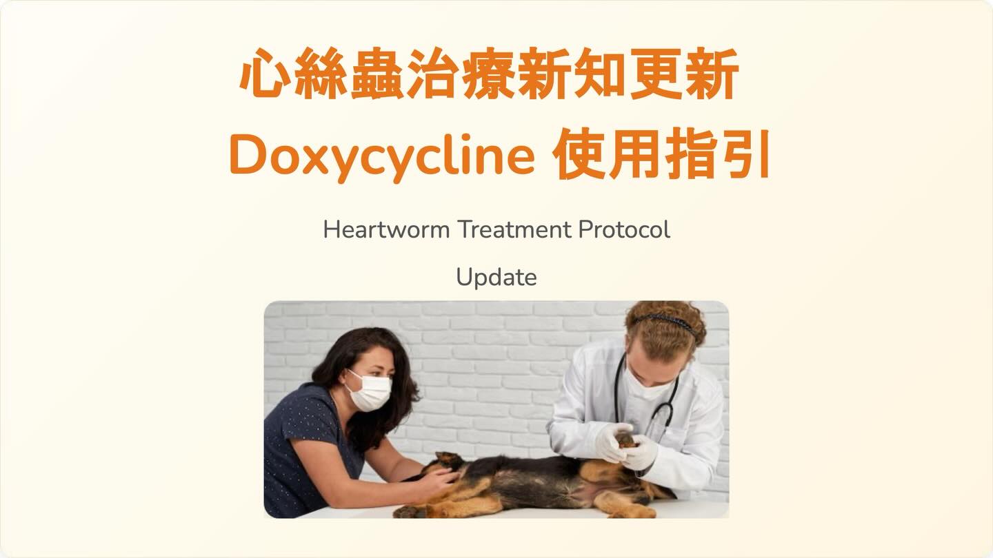 橫式圖卡集合封面：心絲蟲治療新知更新：Doxycycline 使用指引