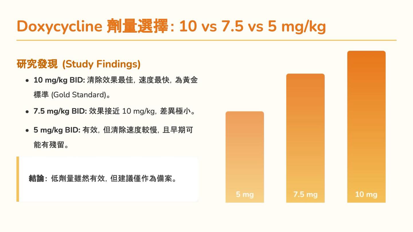 心絲蟲治療新知更新：Doxycycline 使用指引圖卡 4