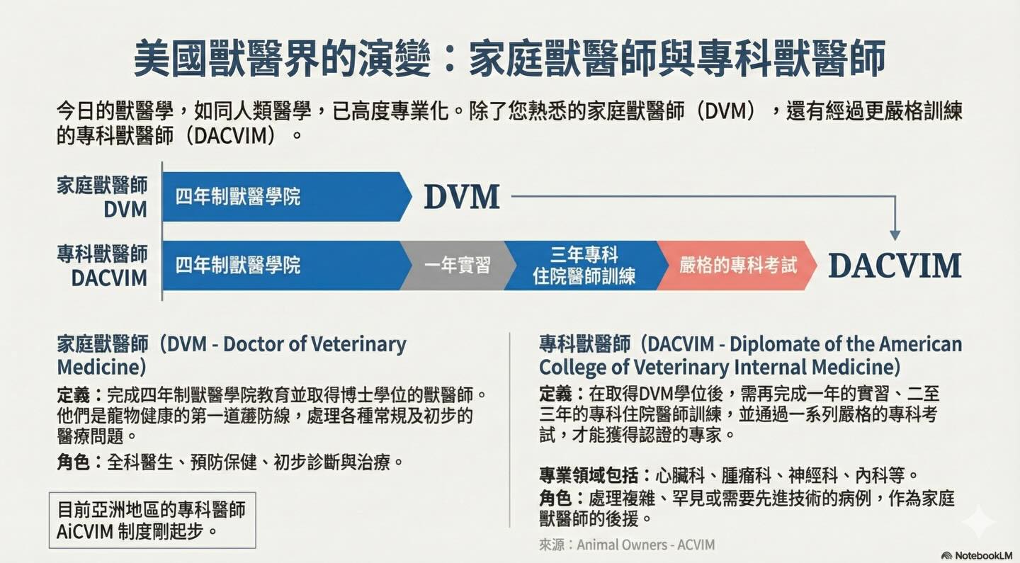 沒有最好的醫療，只有最適合的選擇圖卡 3